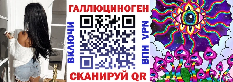 Купить  Кирсанов  Псилоцибиновые грибы MAGIC MUSHROOMS 